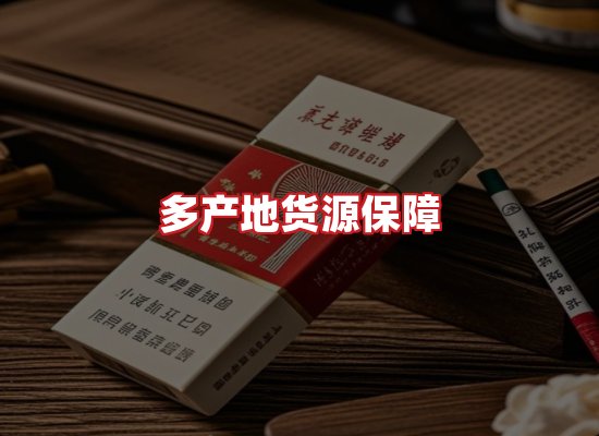 专业团队